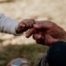 A grandmother and her grand child connecting through holding hands, the difference in age symbolic and heart touching.