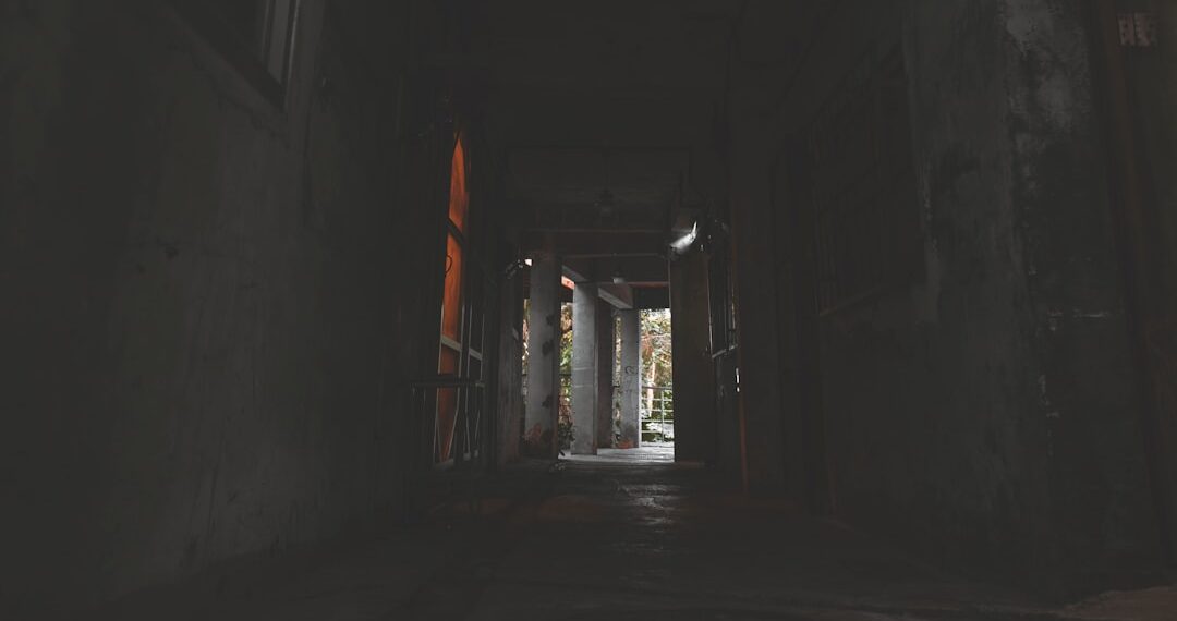 The Corridor