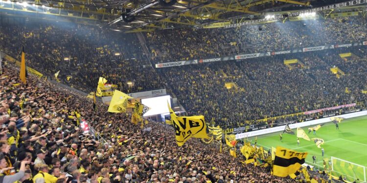 80.000 People , Heja BVB , Echte Liebe