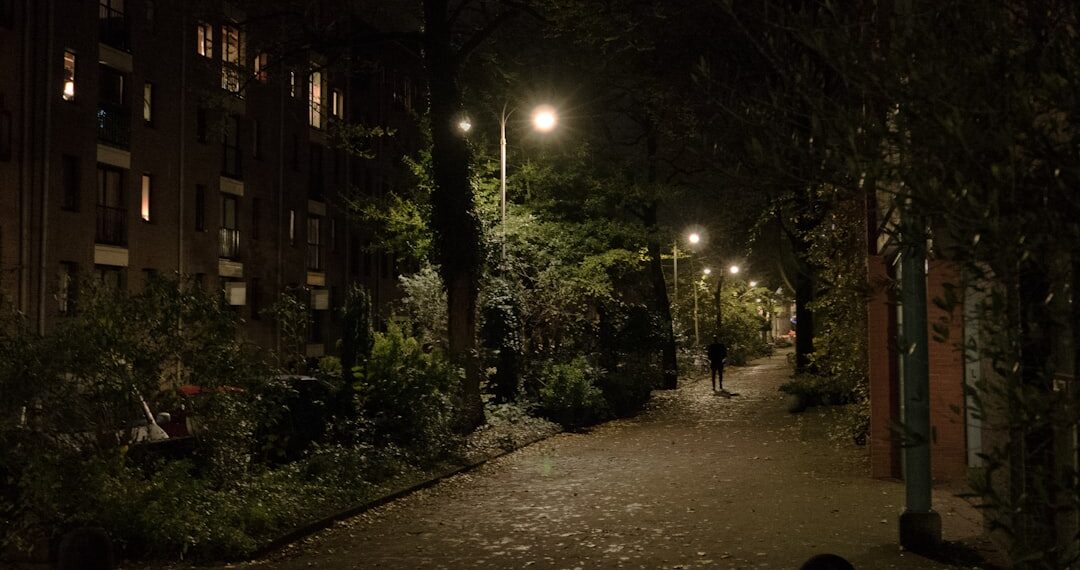Free photo of street view in the evening in the old city of Amsterdam of an old lane named Laagte Kadijk, behind the old large Entrepotdok storage buildings to the left. Street photography free download for poster or wallpaper of old cities in The Netherlands by Fons Heijnsbroek, 2023. / Straat foto van de oude donkere groene straat Laagte Kadijk in Amsterdam bij avond; gratis download foto - straatfotografie Nederland van Fons Heijnsbroek in hoge resolutie foto.