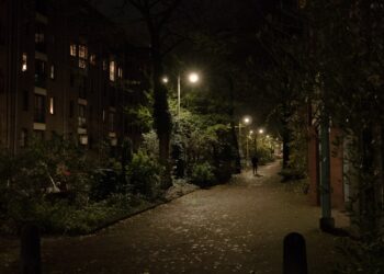 Free photo of street view in the evening in the old city of Amsterdam of an old lane named Laagte Kadijk, behind the old large Entrepotdok storage buildings to the left. Street photography free download for poster or wallpaper of old cities in The Netherlands by Fons Heijnsbroek, 2023. / Straat foto van de oude donkere groene straat Laagte Kadijk in Amsterdam bij avond; gratis download foto - straatfotografie Nederland van Fons Heijnsbroek in hoge resolutie foto.