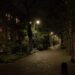 Free photo of street view in the evening in the old city of Amsterdam of an old lane named Laagte Kadijk, behind the old large Entrepotdok storage buildings to the left. Street photography free download for poster or wallpaper of old cities in The Netherlands by Fons Heijnsbroek, 2023. / Straat foto van de oude donkere groene straat Laagte Kadijk in Amsterdam bij avond; gratis download foto - straatfotografie Nederland van Fons Heijnsbroek in hoge resolutie foto.