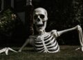 a half-buried Halloween skeleton