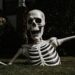 a half-buried Halloween skeleton