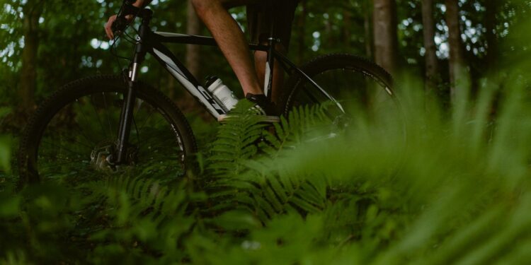 De mooiste mountainbike-routes van Nederland in &eacute;&eacute;n weekend