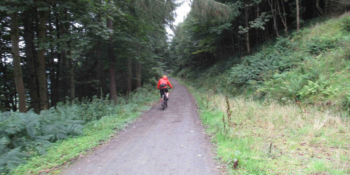 Mountainbiker op bospad