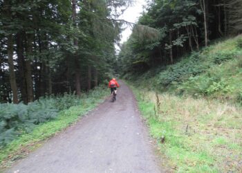 Mountainbiker op bospad