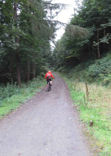 Mountainbiker op bospad