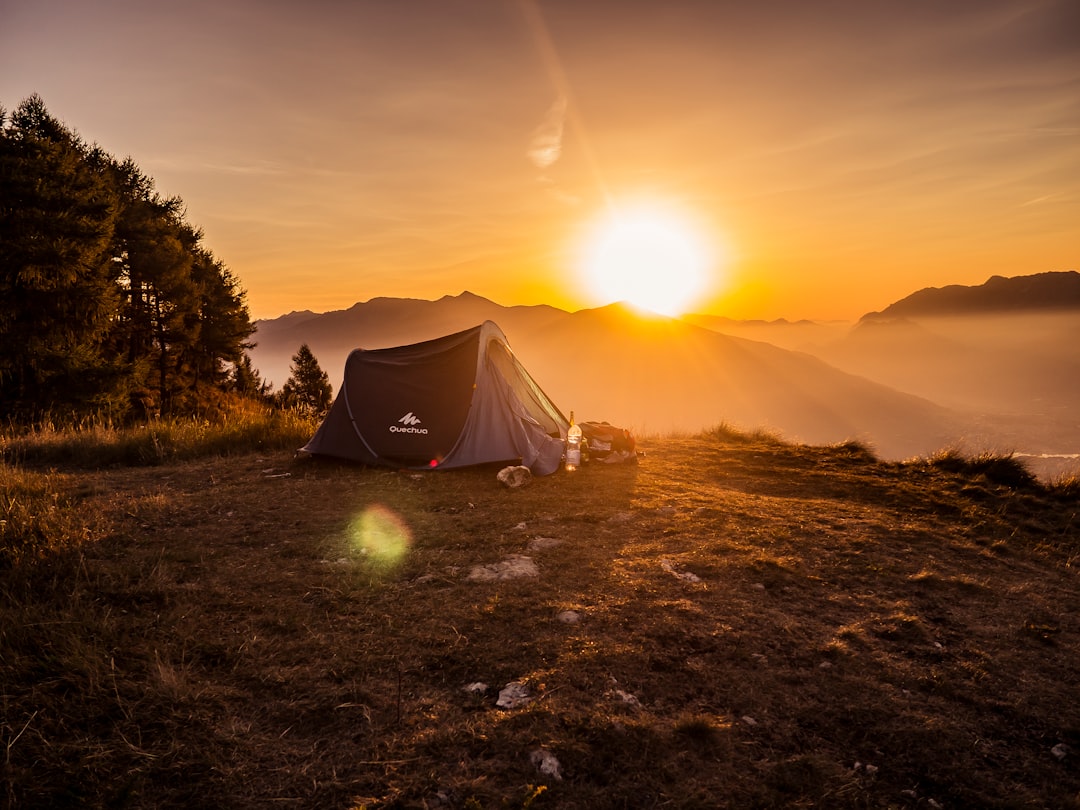 Tent en camping-uitrusting in de natuur