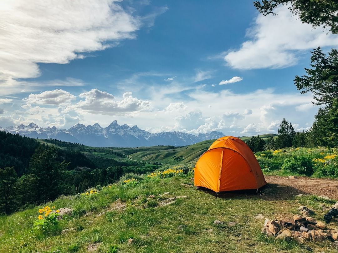 Tent en camping-uitrusting in de natuur