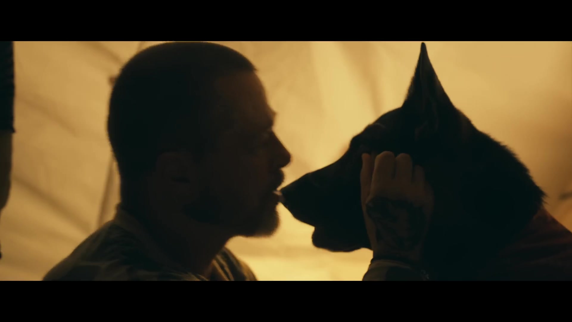 Heart of the Beast scoort hoog bij critici: is dit de beste Brad Pitt in jaren