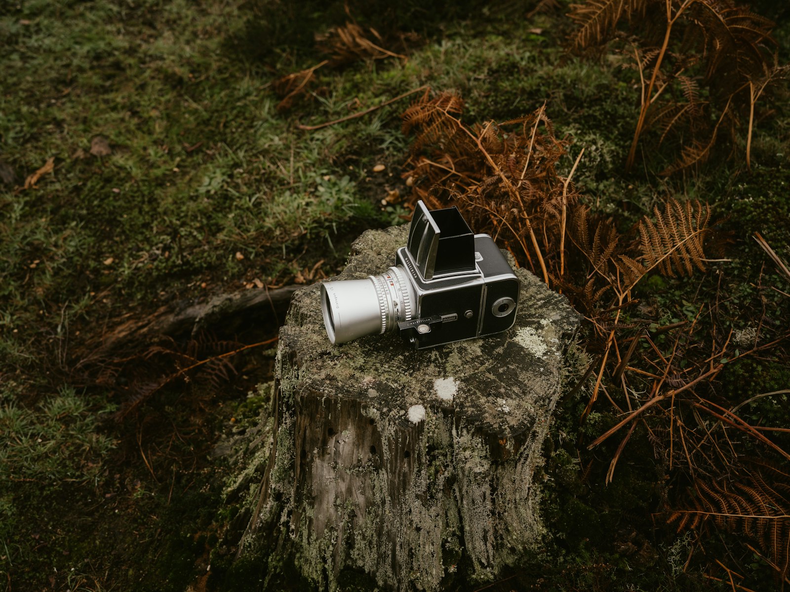 Filmcamera op een set in een bos